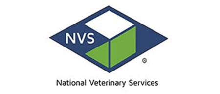 NVS logo